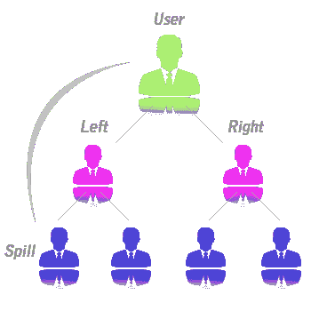Binary MLM Plan